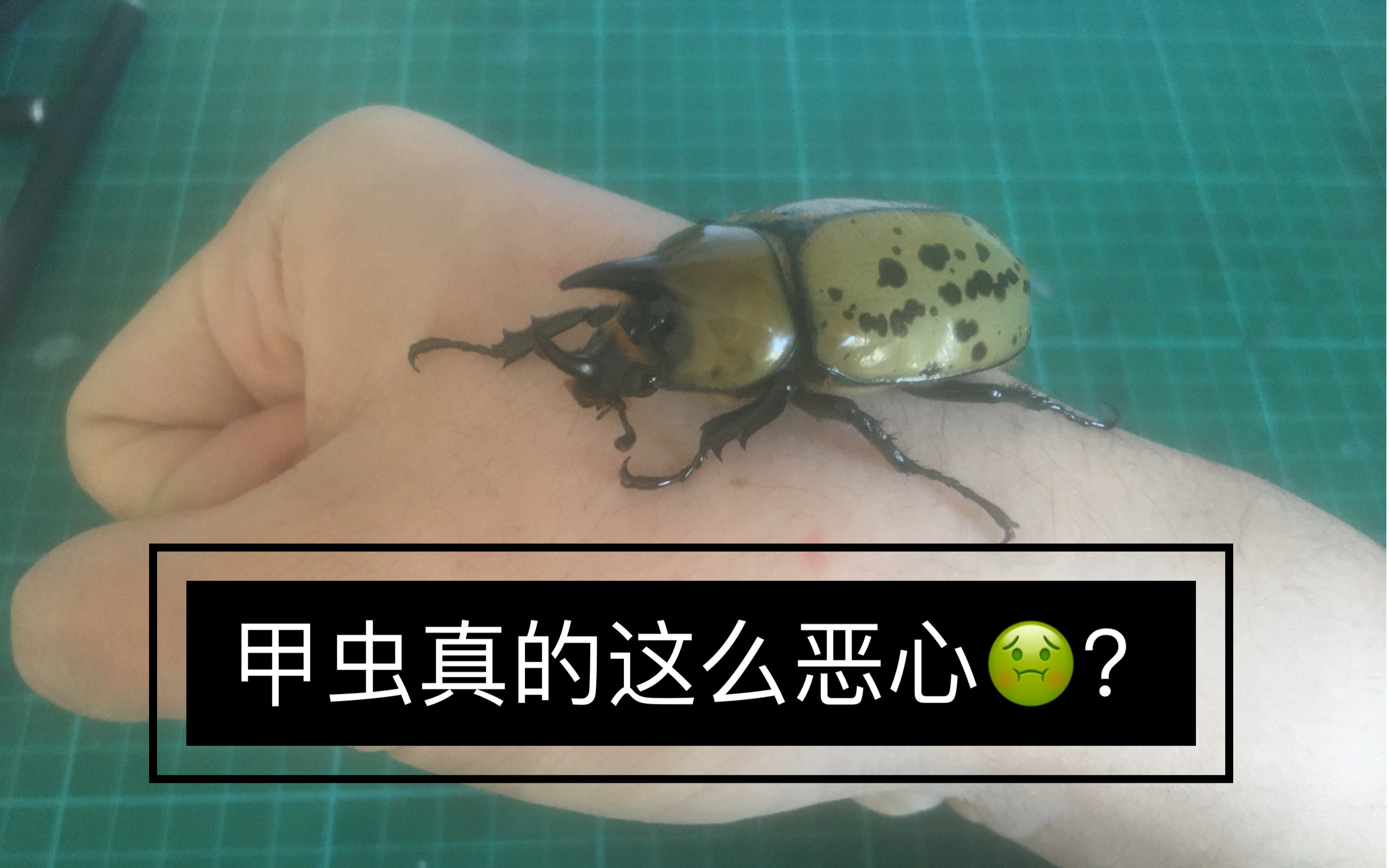 爱游戏官网-包含@蝨.栞%錌€?F擣>p瀏癯鉡崁???硫I憪╁?xR??噑?€qt7?_W宄N磱劐5躌9茟J?,!潰$蟆u魱q塭5?!經?&amp;郵Z彗%鞺l鼀A?	溙y荶a輏L賁bk??\?帙萤+?d僙A?S?mk/瑸i@~c拶姬q縐C>"Vシb孎?媊20??qL~B橐?蠃裦#孉Hy佽5>wp?嫩蹯